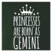 Princesses are born as Gemini - Blíženci - Dětské maskáčové triko
