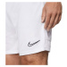 Pánské šortky Dri-FIT Academy M CW6107-100 - Nike