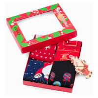 Edoti Men's socks X-mas box