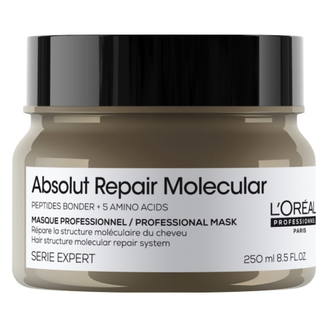 L´Oréal Professionnel Paris - Serie Expert Absolut Repair Molecular Koncentrovaná maska Masky a 