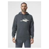 Helly Hansen F2F Organic Cotton Hoodie