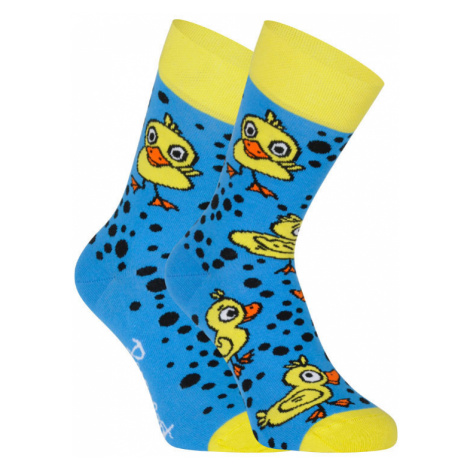 Ponožky Represent happy ducks (R1A-SOC-0657) M