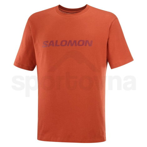 alomon Logo Performance Tee M LC2230600 - bossa nova Salomon