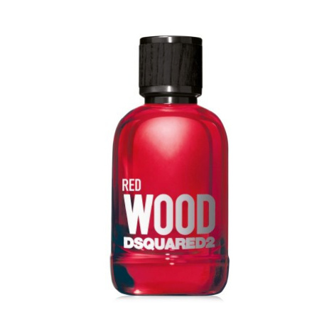 Dsquared2 Red Wood toaletní voda 100 ml Dsquared²