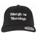 Kšiltovka // Mister Tee / Allergic To Mornings Retro Trucker black