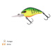 Zeck Wobler Danny 2.0 45 DD - Baitfish