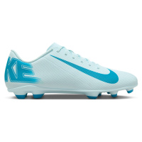 Nike Mercurial Vapor 16 Club FG/MG