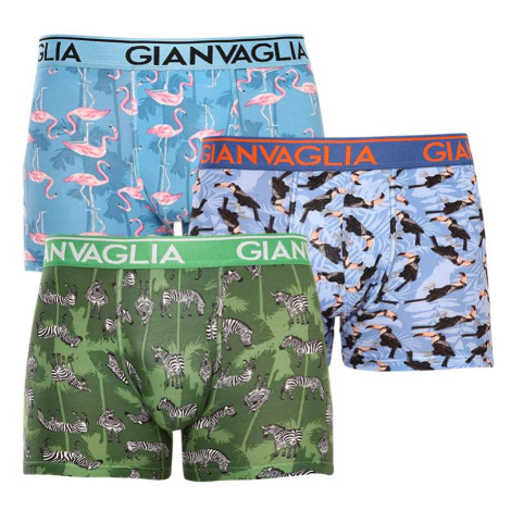 3PACK pánské boxerky Gianvaglia vícebarevné (GVG-5501)