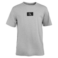 Calvin Klein ´96 GRAPHIC TEES-S/S CREW NECK Pánské tričko, šedá, velikost