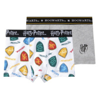 Chlapecké boxerky Harry Potter, 2 kusy (bílá / navy modrá)