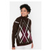 Trendyol Brown Turtleneck Jacquard Knitwear Sweater