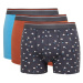 DEFACTO Men's Patterned 3-Pack Boxer