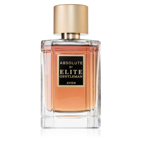 Avon Elite Gentleman Absolute toaletní voda pro muže 50 ml