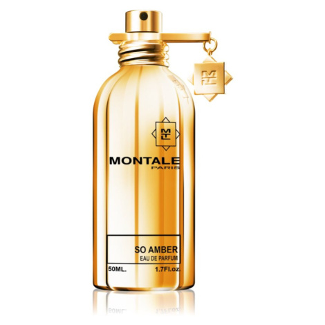 Montale So Amber parfémovaná voda unisex 50 ml