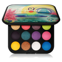 MAC Cosmetics Connect In Colour Eye Shadow Palette 12 shades paletka očních stínů odstín Hi-Fi C