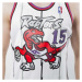 Mitchell & Ness Toronto Raptors #15 Vince Carter white Swingman Jersey