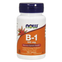 Now Foods Vitamin B1 100 mg 100 tablet