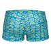 Arena friends swim short boys soft green/multi