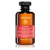 Apivita Color Seal Color Protect Shampoo šampon pro ochranu barvených vlasů bez sulfátů 250 ml