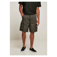 Short Cargo Shorts - darkshadow