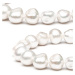 Gaura Pearls Perlový náramek Ramóna - bílá sladkovodní perla BRW211-B Bílá/čirá 20 cm + 3 cm (pr