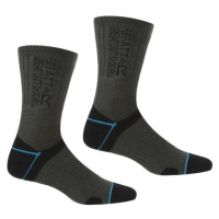 Dámské ponožky Regatta RWH043 BlisterProtect II 82G šedé