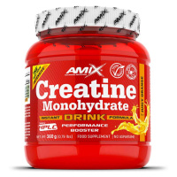 Amix Creatine Monohydrate Drink podpora sportovního výkonu příchuť Orange 360 g