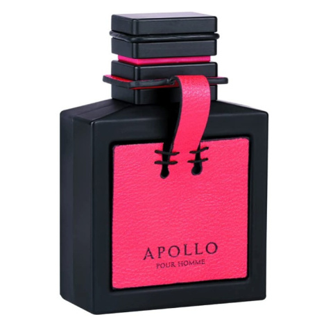 Flavia Apollo Pour Homme - EDP 100 ml