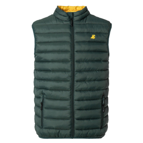 LIVERGY® U. S. Grand Polo Pánská prošívaná vesta (tmavě zelená)