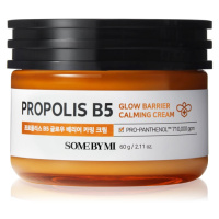 Some By Mi Propolis B5 Glow Barrier zklidňující a hydratační krém pro obnovu kožní bariéry 60 g
