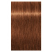 Schwarzkopf Professional IGORA Royal barva na vlasy odstín 7-76 Medium Blonde Copper Chocolate 6
