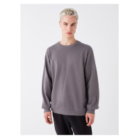 LC Waikiki Oversize Crew Neck Long Sleeve Men's Sweatshirt