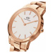 Dámské hodinky DANIEL WELLINGTON DW00100211 - ICONIC LINK (zw502a)