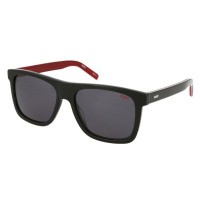 Hugo Boss HG 1009/S OIT/IR