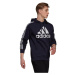 Adidas Essentials Hoodie M H14642 pánské