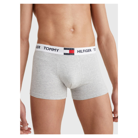 Spodní díl pánského spodního prádla TRUNK UM0UM01810P01 - Tommy Hilfiger