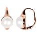 JwL Luxury Pearls Bronzové náušnice s pravými perlami JL0533