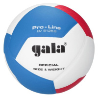 GALA BV5125 PRO-LINE 12 Volejbalový míč, bílá, velikost