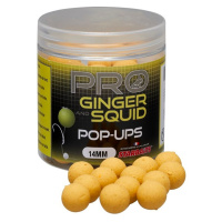 Starbaits Plovoucí boilies Pop Up Pro Ginger Squid 50g - 16mm