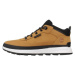 Timberland FIELD TREKKER LOW LACE Hnědá