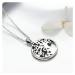 GRACE Silver Jewellery Stříbrný náhrdelník se zirkony Strom života - stříbro 925/1000 NH-SCN094/
