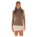 Sexy Musthave Basic Knit Pullover with Turtleneck