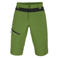 Pánské šortky Alpine Pro CUOM - zelená