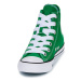 Converse CHUCK TAYLOR ALL STAR SKETCH Zelená