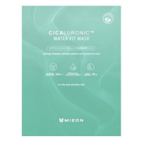 MIZON Cicaluronic Water Fit Mask 24 g