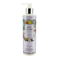 Šampon pro hydrataci a objem vlasů Max volume Dessata 300ml