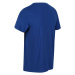 Pánské tričko Regatta CLINE VI modrá