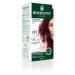 HERBATINT Permanentní barva na vlasy švestka FF3 150 ml