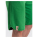 Short sweat shorts W530 - green