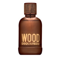 Dsquared2 Wood toaletní voda pro muže 100 ml